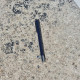 Stylo de pétanque telescopique